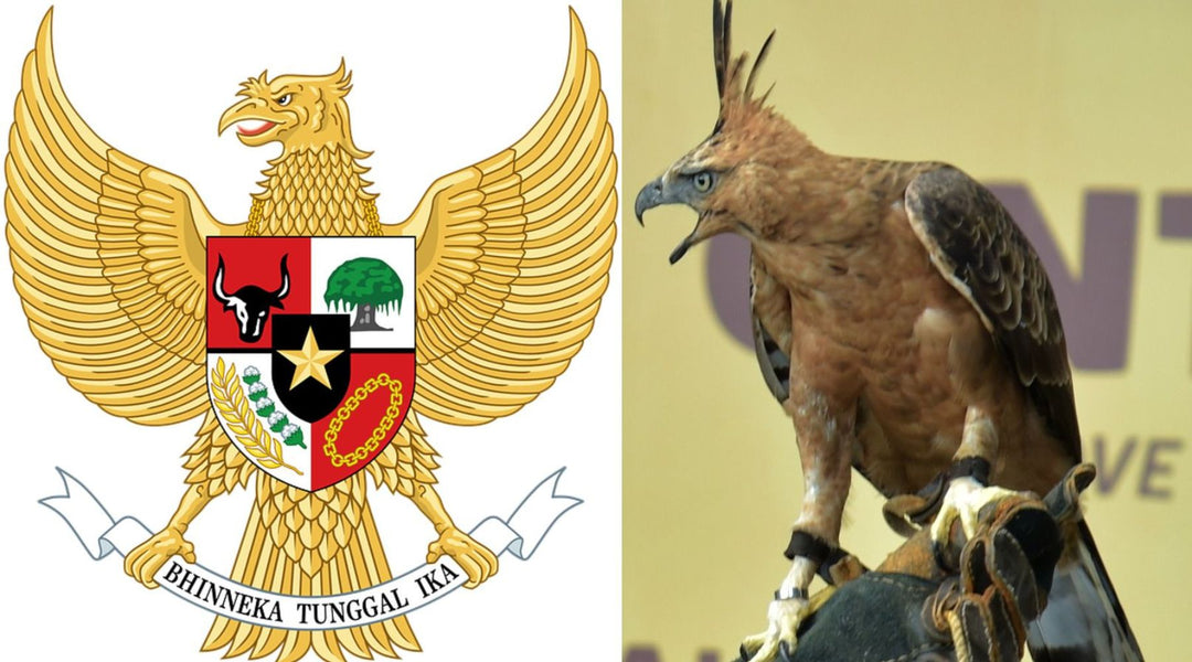 5 Fakta Menarik Burung Garuda sebagai Lambang Pancasila